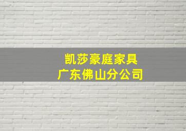 凯莎豪庭家具广东佛山分公司