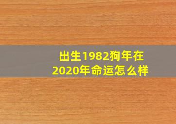 出生1982狗年在2020年命运怎么样