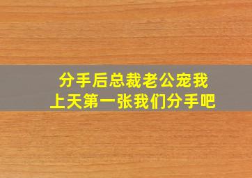 分手后总裁老公宠我上天第一张我们分手吧