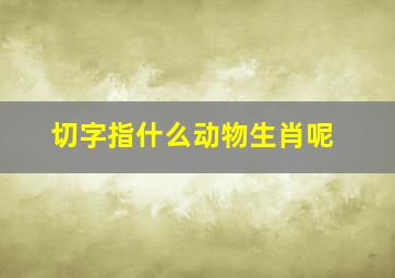 切字指什么动物生肖呢