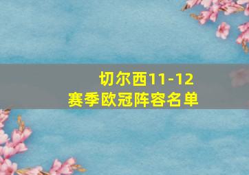 切尔西11-12赛季欧冠阵容名单