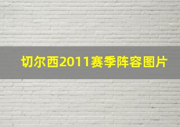 切尔西2011赛季阵容图片