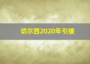 切尔西2020年引援