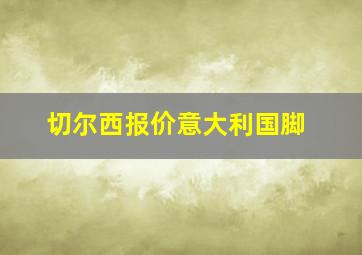 切尔西报价意大利国脚