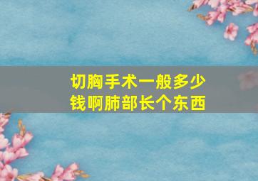 切胸手术一般多少钱啊肺部长个东西