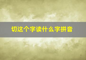 切这个字读什么字拼音