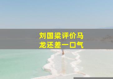 刘国梁评价马龙还差一口气