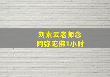 刘素云老师念阿弥陀佛1小时