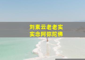 刘素云老老实实念阿弥陀佛