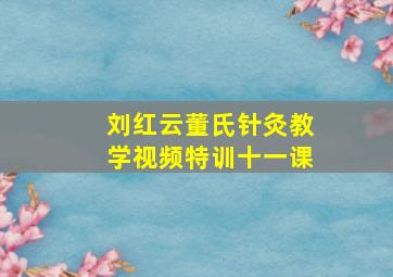 刘红云董氏针灸教学视频特训十一课