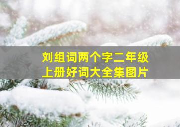 刘组词两个字二年级上册好词大全集图片