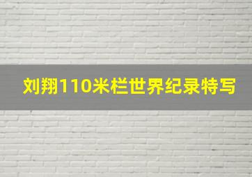 刘翔110米栏世界纪录特写