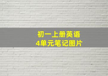 初一上册英语4单元笔记图片