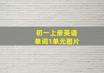 初一上册英语单词1单元图片