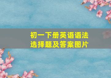 初一下册英语语法选择题及答案图片