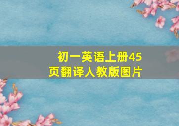 初一英语上册45页翻译人教版图片