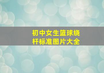 初中女生篮球绕杆标准图片大全