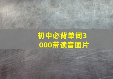 初中必背单词3000带读音图片