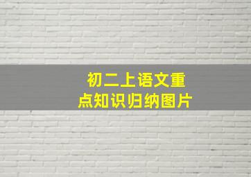 初二上语文重点知识归纳图片