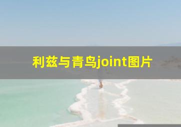 利兹与青鸟joint图片