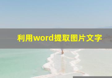 利用word提取图片文字