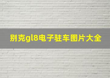 别克gl8电子驻车图片大全