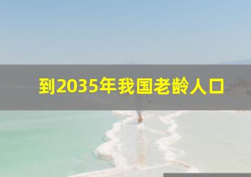 到2035年我国老龄人口