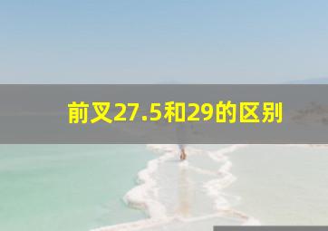 前叉27.5和29的区别