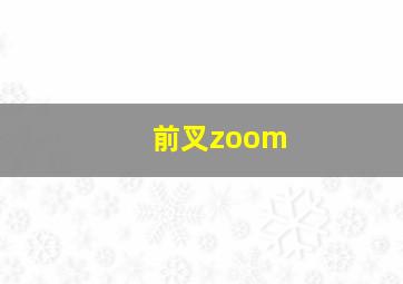 前叉zoom