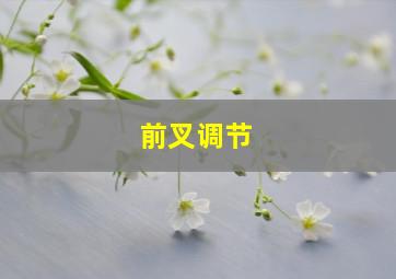 前叉调节