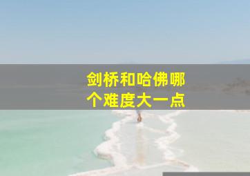 剑桥和哈佛哪个难度大一点