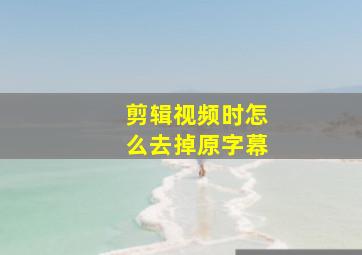 剪辑视频时怎么去掉原字幕