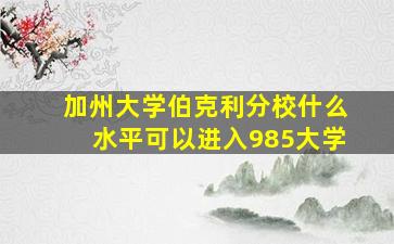 加州大学伯克利分校什么水平可以进入985大学