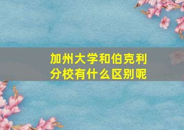 加州大学和伯克利分校有什么区别呢