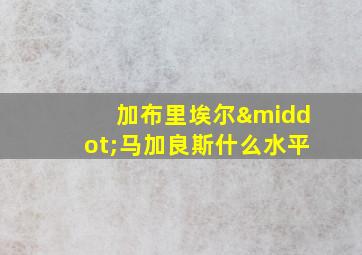 加布里埃尔·马加良斯什么水平