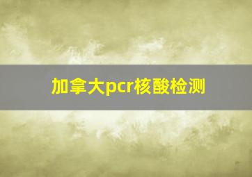 加拿大pcr核酸检测