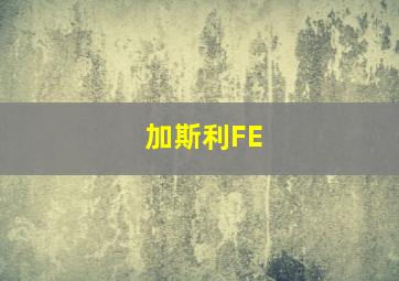 加斯利FE