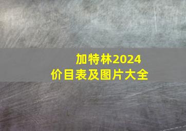 加特林2024价目表及图片大全