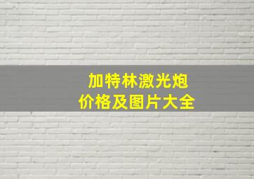 加特林激光炮价格及图片大全