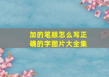 加的笔顺怎么写正确的字图片大全集