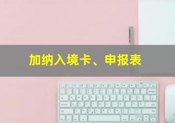 加纳入境卡、申报表