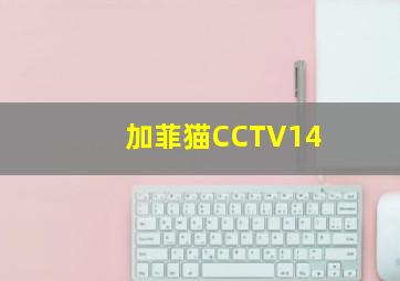 加菲猫CCTV14