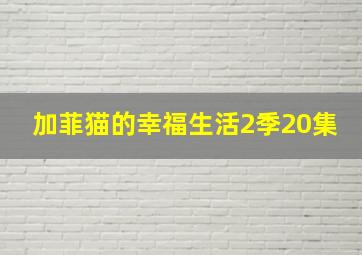 加菲猫的幸福生活2季20集