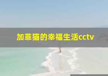 加菲猫的幸福生活cctv