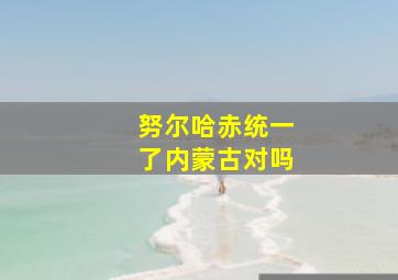 努尔哈赤统一了内蒙古对吗