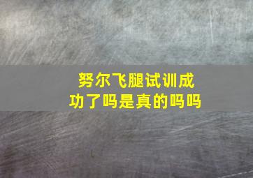 努尔飞腿试训成功了吗是真的吗吗