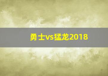 勇士vs猛龙2018