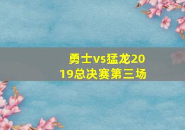 勇士vs猛龙2019总决赛第三场