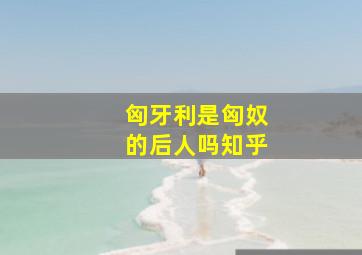 匈牙利是匈奴的后人吗知乎