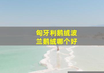 匈牙利鹅绒波兰鹅绒哪个好